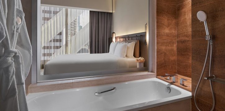 premier-bathroom-2