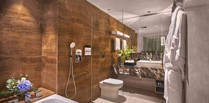 b9h8-deluxe-premier-bathroom-2-2