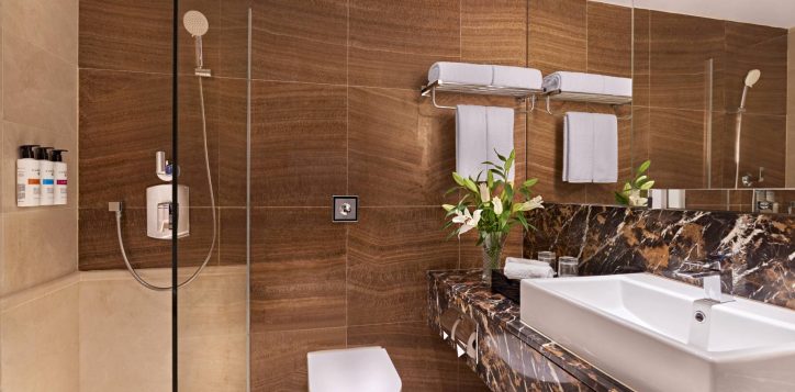 b9h8-superior-and-deluxe-superior-bathroom-4-2