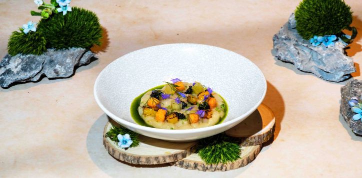 scallop-2